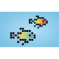 5000fish Logo